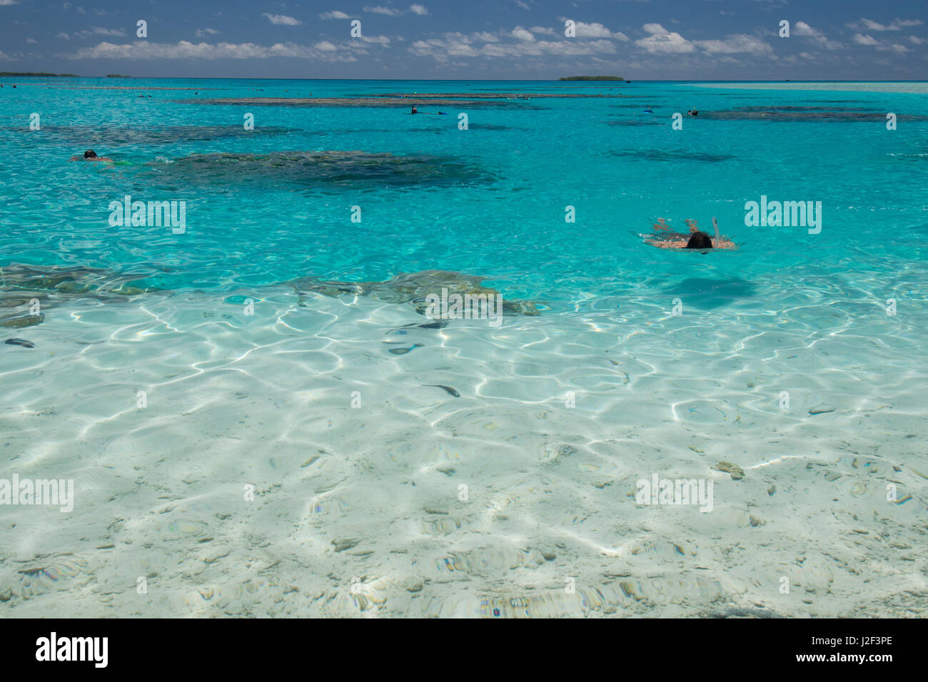 Cook-Inseln. Palmerston Island, einem klassischen Atoll von Captain Cook im Jahre 1774 entdeckt. Aktuelle Bevölkerung von 62 Menschen alle Nachkommen von William Marsters (aka Meister). Schnorcheln in klaren seichten Lagune mit Korallen. Stockfoto