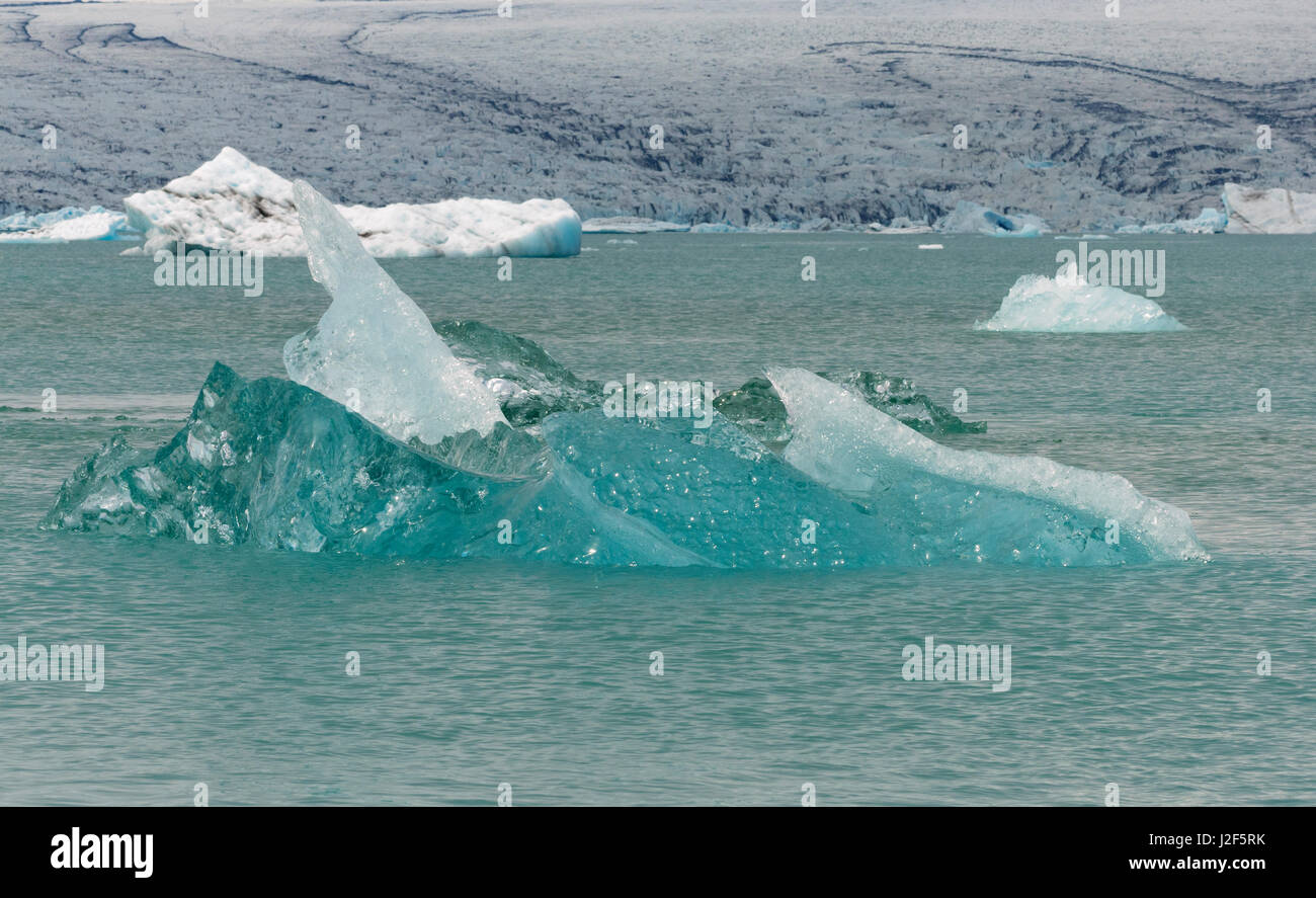 Eisskulptur in einem Gletschersee Stockfoto
