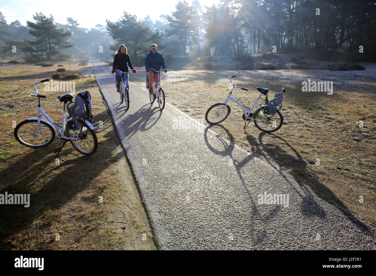 Radfahrer ertragen einen kalten Wintermorgen im Nationalpark De Hoge Veluwe, Niederlande Stockfoto