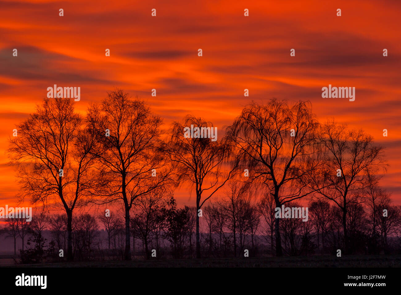 der Himmel steht in Flammen, kurz vor Sonnenaufgang Stockfoto