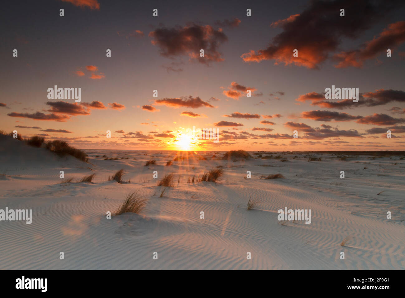 Sonnenaufgang am nördlichen Strand von Schiermonnikoog über den Embryo Dünen Stockfoto