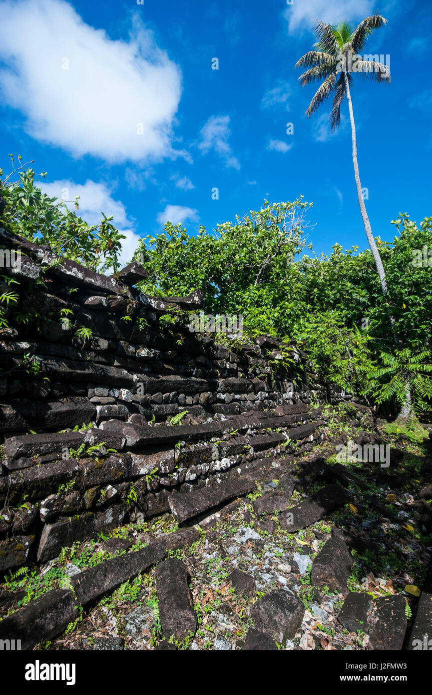 Ruinenstadt Nan Mandol, Pohnpei, Mikronesien, Central Pacific Stockfoto