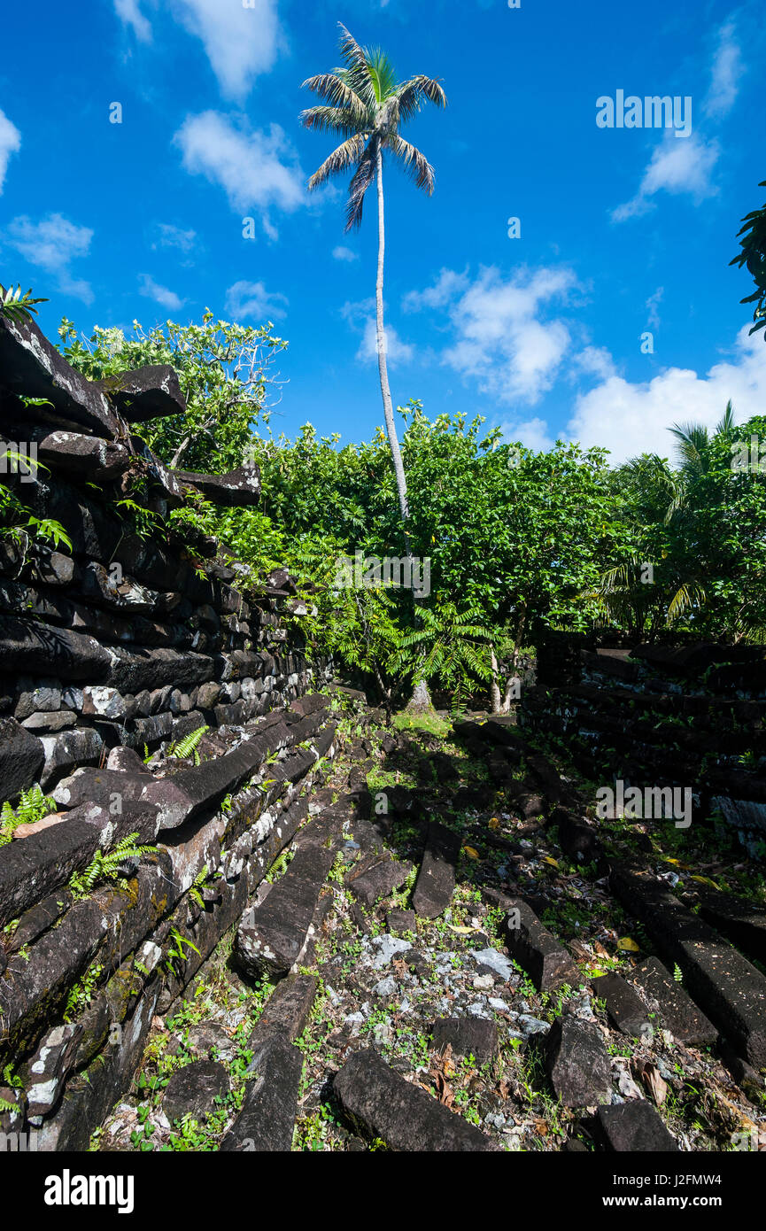 Ruinenstadt Nan Mandol, Pohnpei, Mikronesien, Central Pacific Stockfoto