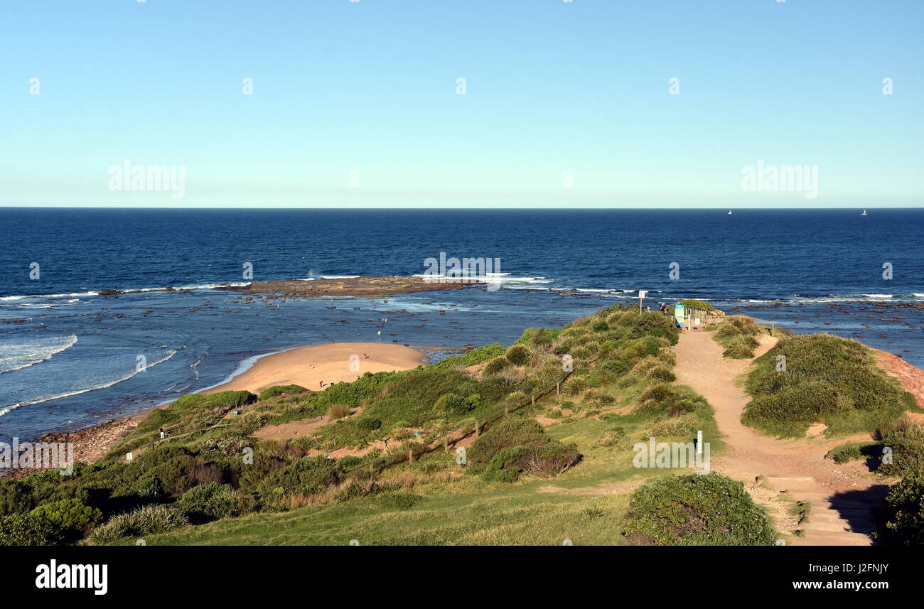 Lange Riff Landzunge bei Ebbe (Sydney, New South Wales, Australien) Stockfoto