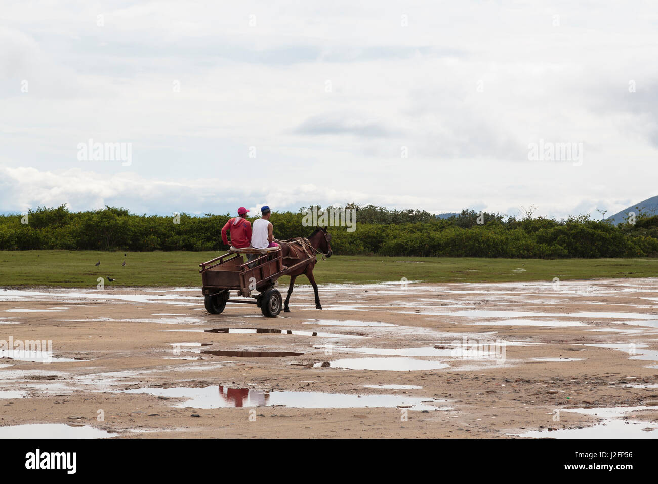 Südamerika, Brasilien, Paraty. Männer auf Pferden gezogenen Wagen. Stockfoto