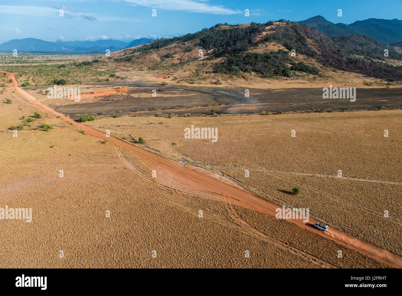 Feldweg. Savanne Fisch, Guyana Stockfoto