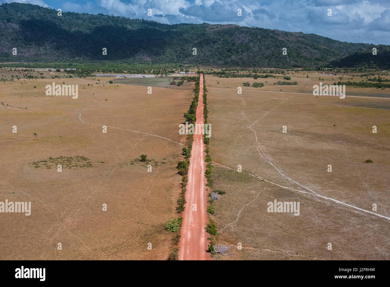 Feldweg. Savanne Fisch, Guyana Stockfoto