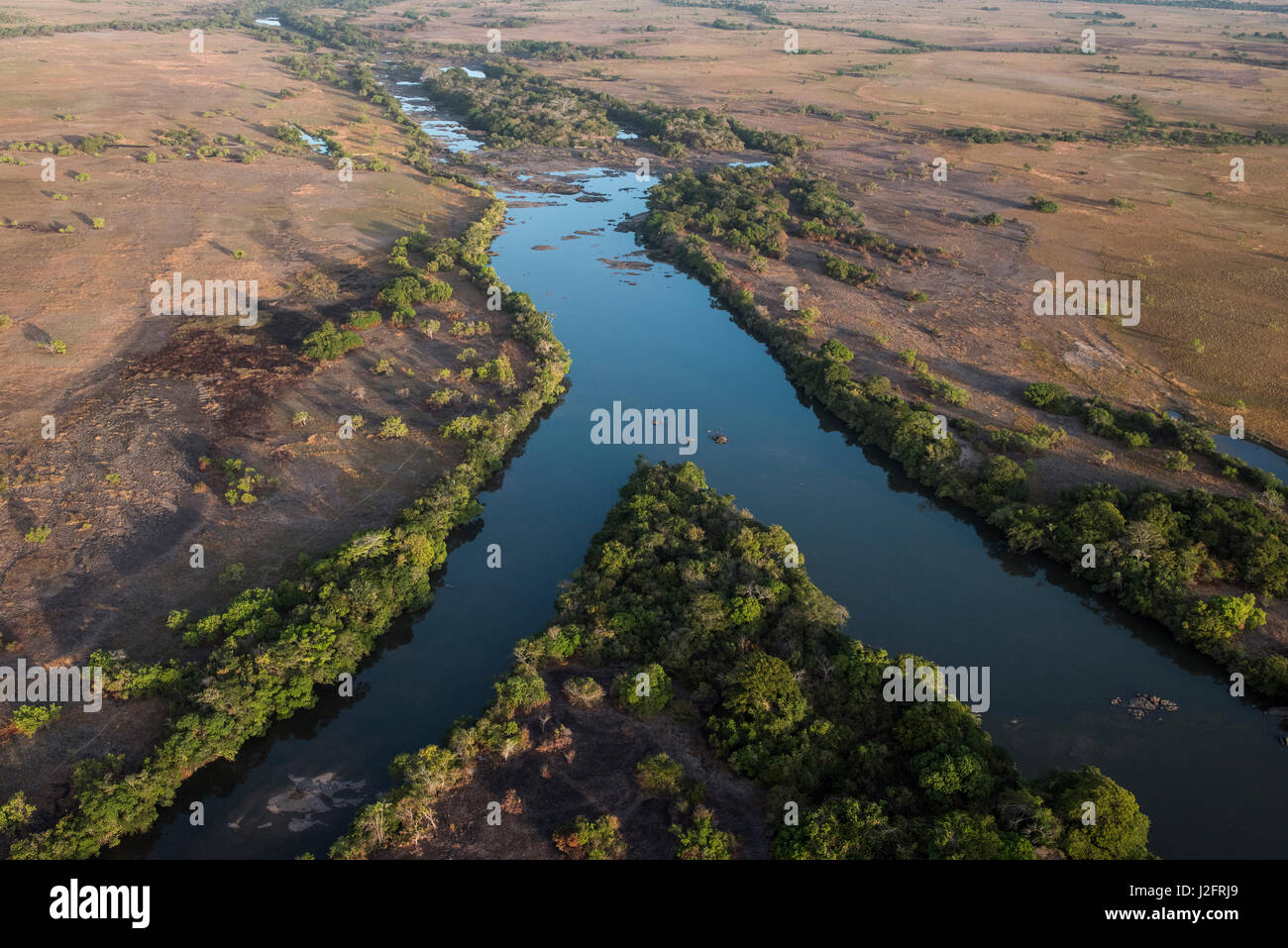 Fisch Fluss, Savanna Fisch, Guyana Stockfoto