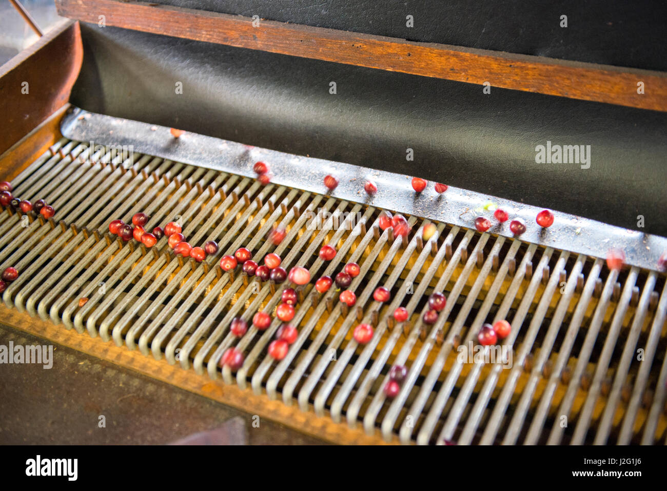 USA, Massachusetts, Wareham, antike Cranberry Separator Maschine (großformatige Größen erhältlich) Stockfoto