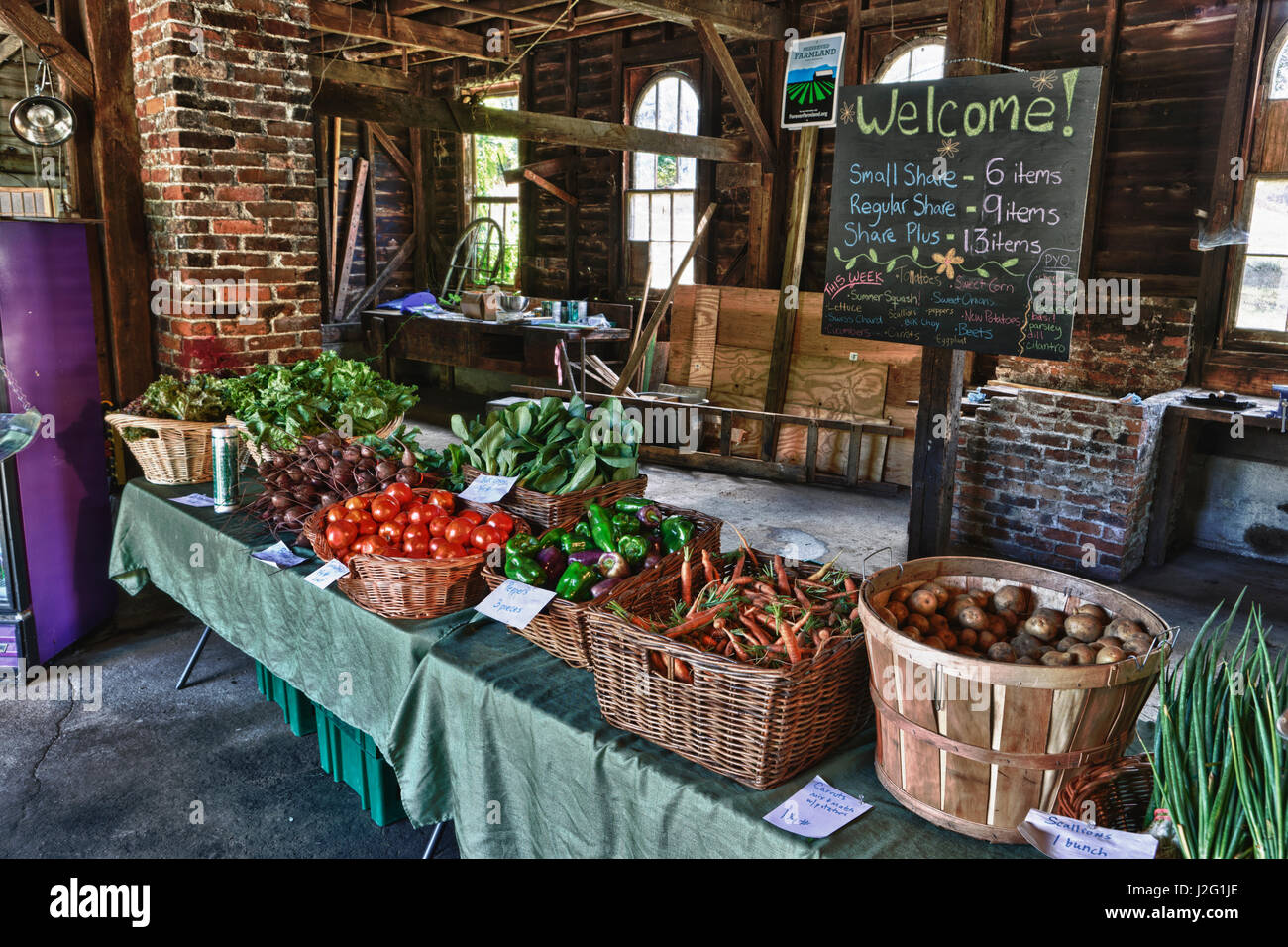Die Community Supported Agriculture (CSA) Abholung im Crimson und Klee Farm in Northampton, Massachusetts. Stockfoto