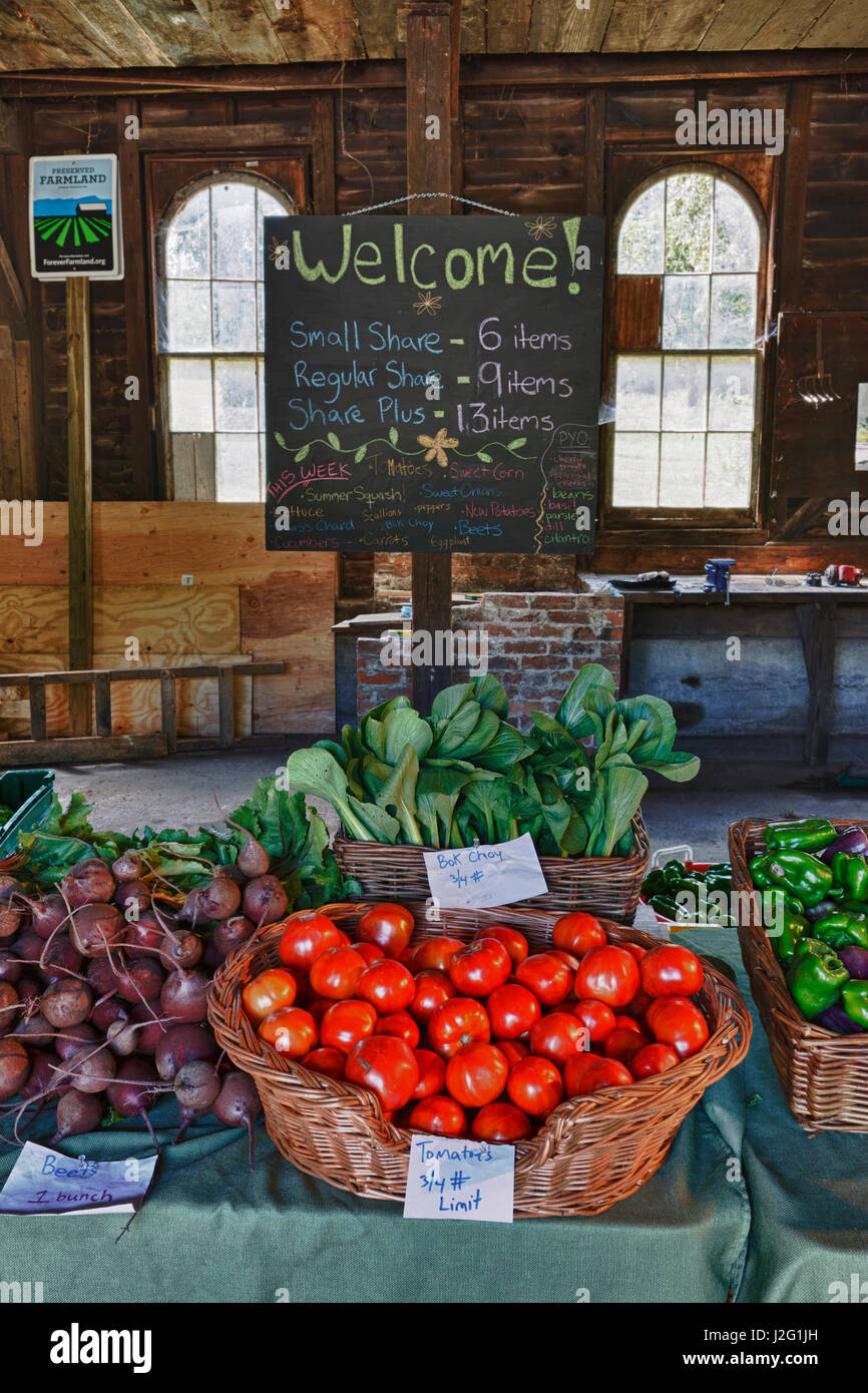 Die Community Supported Agriculture (CSA) Abholung im Crimson und Klee Farm in Northampton, Massachusetts. Stockfoto
