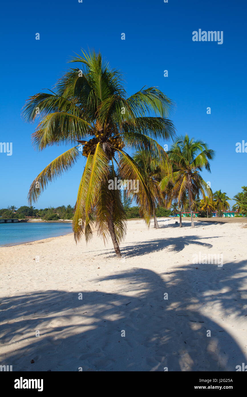 Am Strand Playa Giron, Kuba. Dieser Strand ist berühmt für seine Rolle während der Schweinebucht-Invasion. Stockfoto