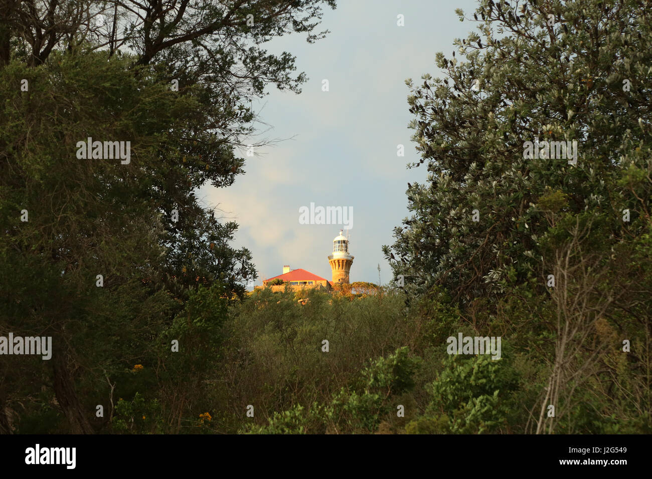 Blick hinauf in Richtung der Barrenjoey Leuchtturm kurz vor Sonnenuntergang. Stockfoto