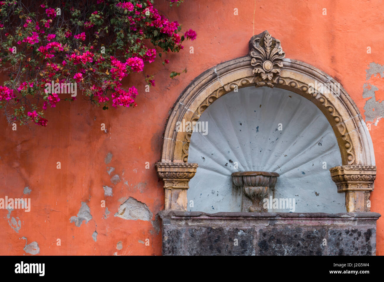 Mexiko, San Miguel de Allende Straße Brunnen in einen Lachs farbige Wand mit Fuschia Blühender Zweig. Stockfoto