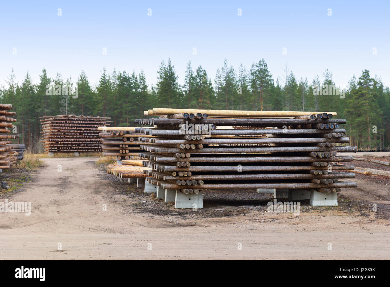 Entwaldung Wälder, bauen neue Häuser von Bäumen Stockfoto