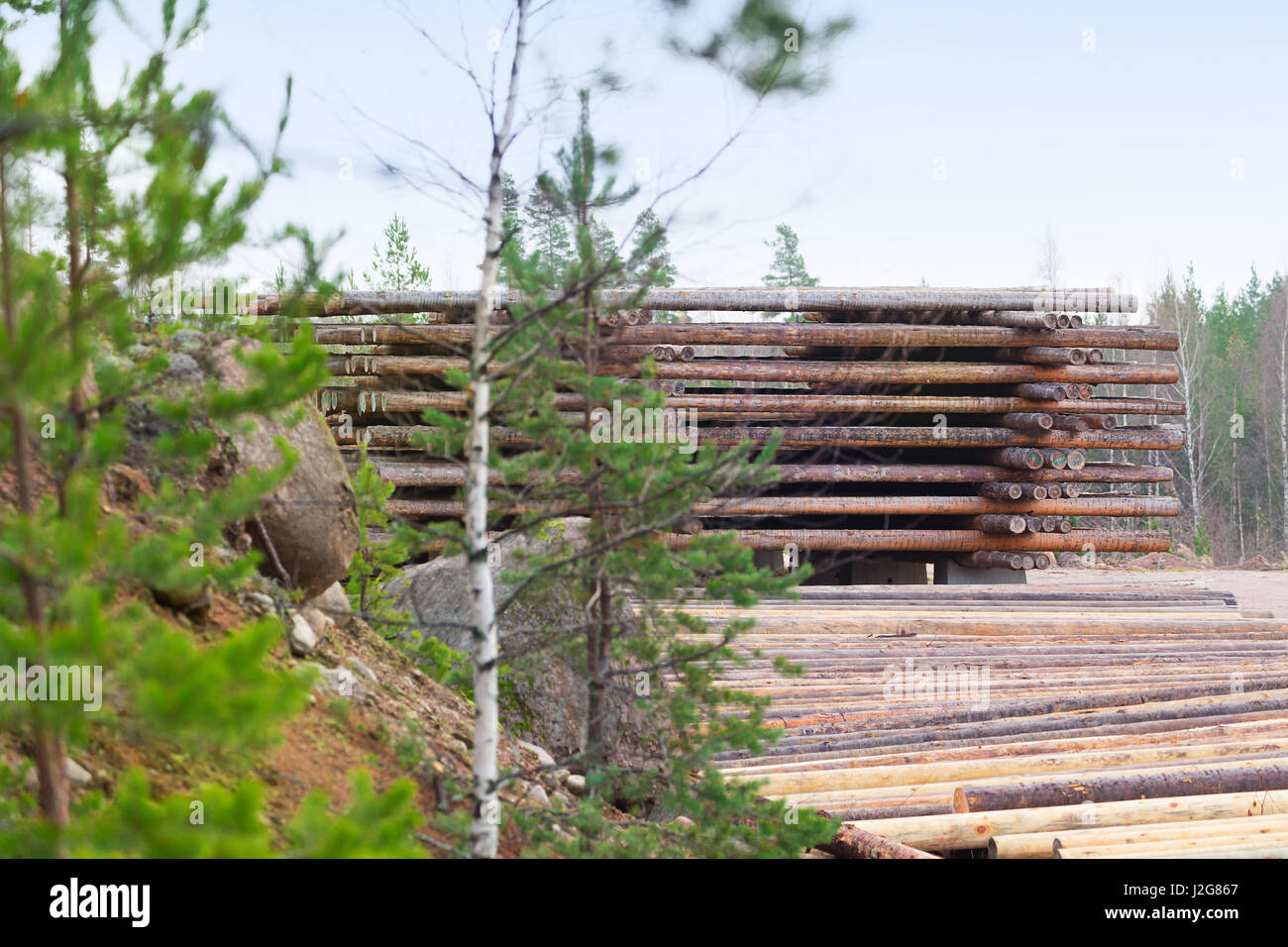 Entwaldung Wälder, bauen neue Häuser von Bäumen Stockfoto