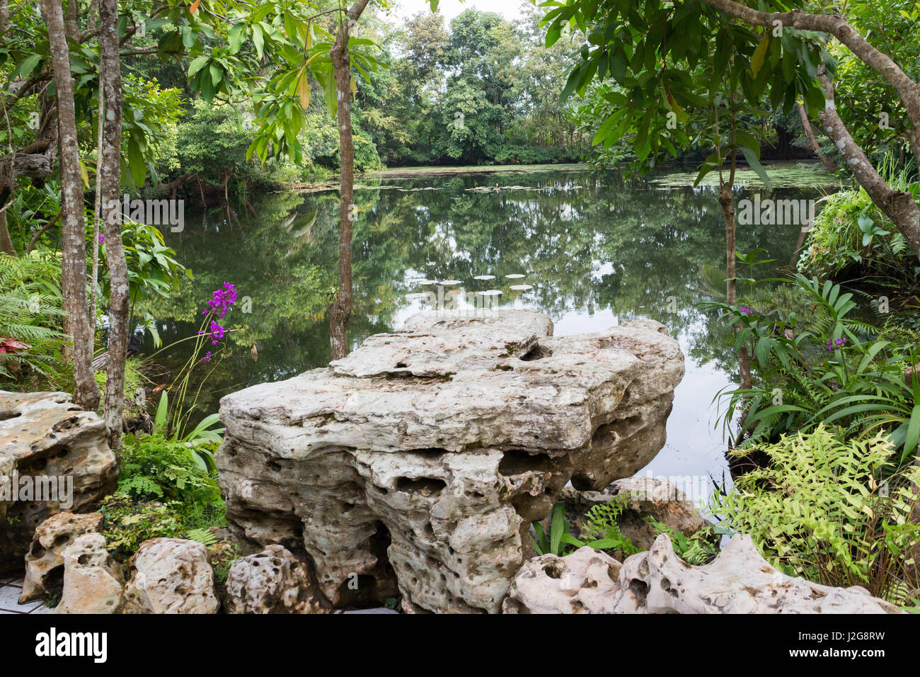 Gepflegter Garten und Teich in Nordthailand Stockfoto
