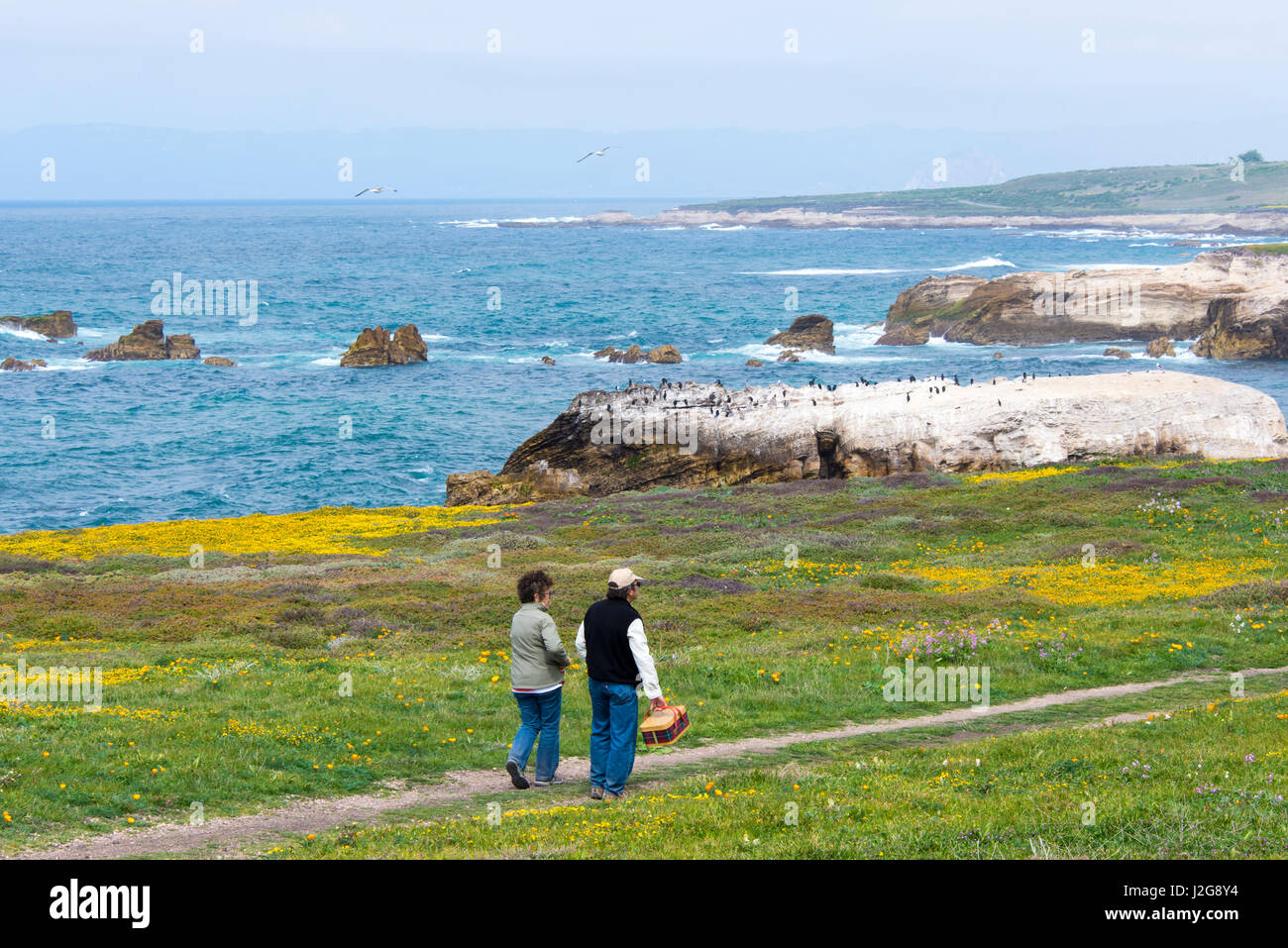 USA, Kalifornien. Paar schlendert Point Buchon Trail mit Picknick-Korb. (MR) Stockfoto