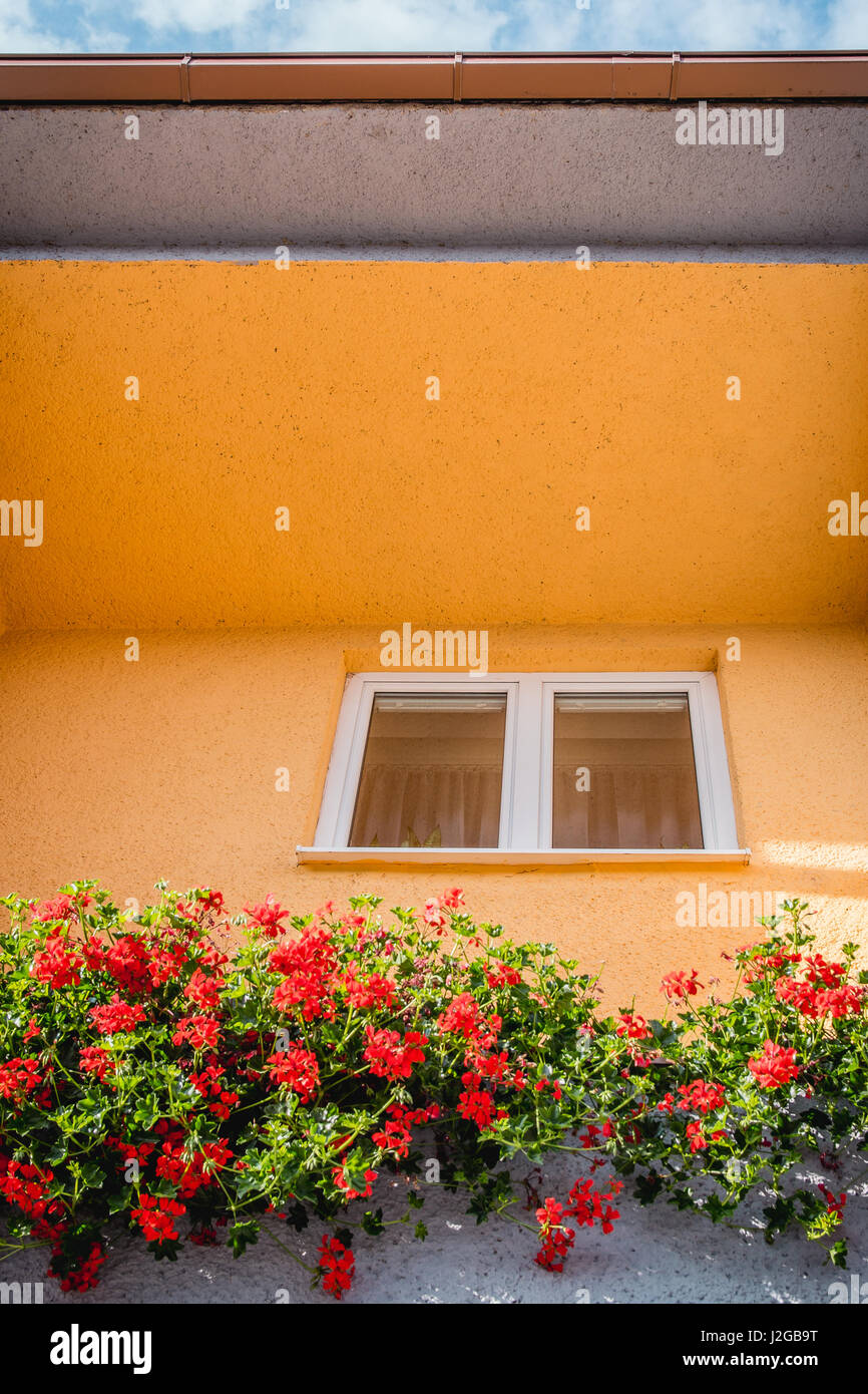 Fenster mit gelben Wänden und Blumen, blauen Himmel umgeben. Stockfoto