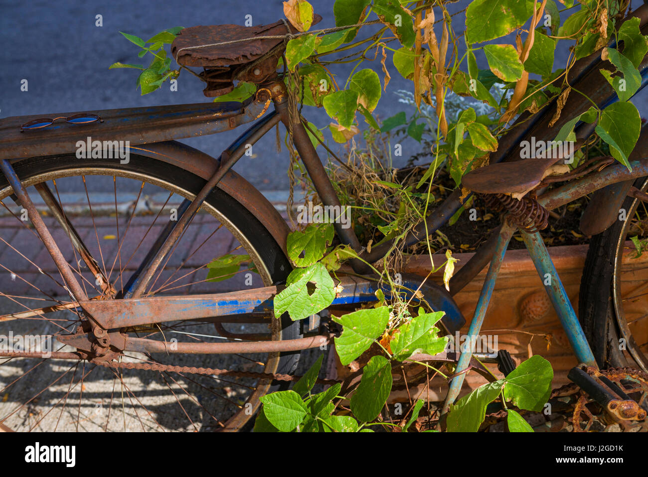 USA, Maine, Belfast, rostigen Fahrrad Stockfoto