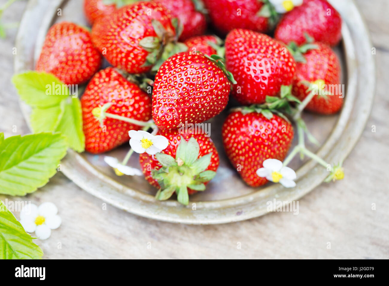 Perfekte süße reife Erdbeeren auf einem hölzernen Hintergrund Stockfoto