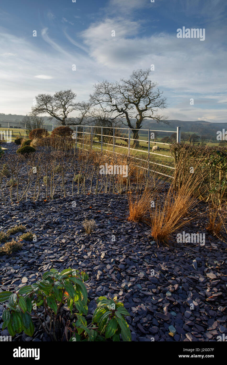 Sonnigen Winter Blick auf eine Ecke von einem schönen privaten Garten, Yorkshire, England, UK - krautige Grenze mit Schiefer Splitt, Pflanzen, Sträucher & Gräser. Stockfoto