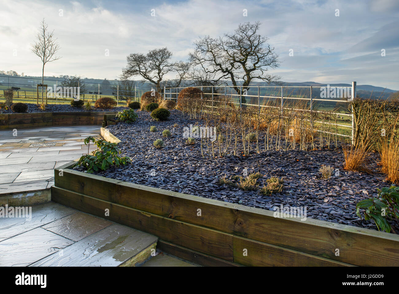 Wintersonne auf schönen, privaten Garten, Yorkshire, England, UK - stilvolles, modernes Design, schwer Landschaftsbau & Neuanpflanzungen auf Holz Hochbeete. Stockfoto