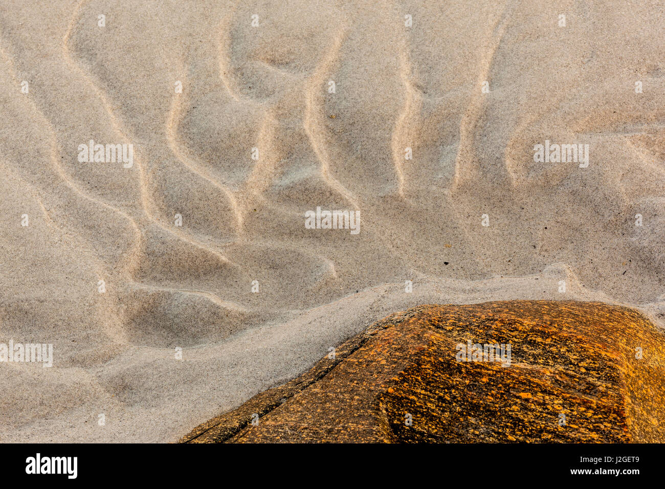 Muster am Strand von großen Insel gemeinsamen in New Castle, New Hampshire. Stockfoto