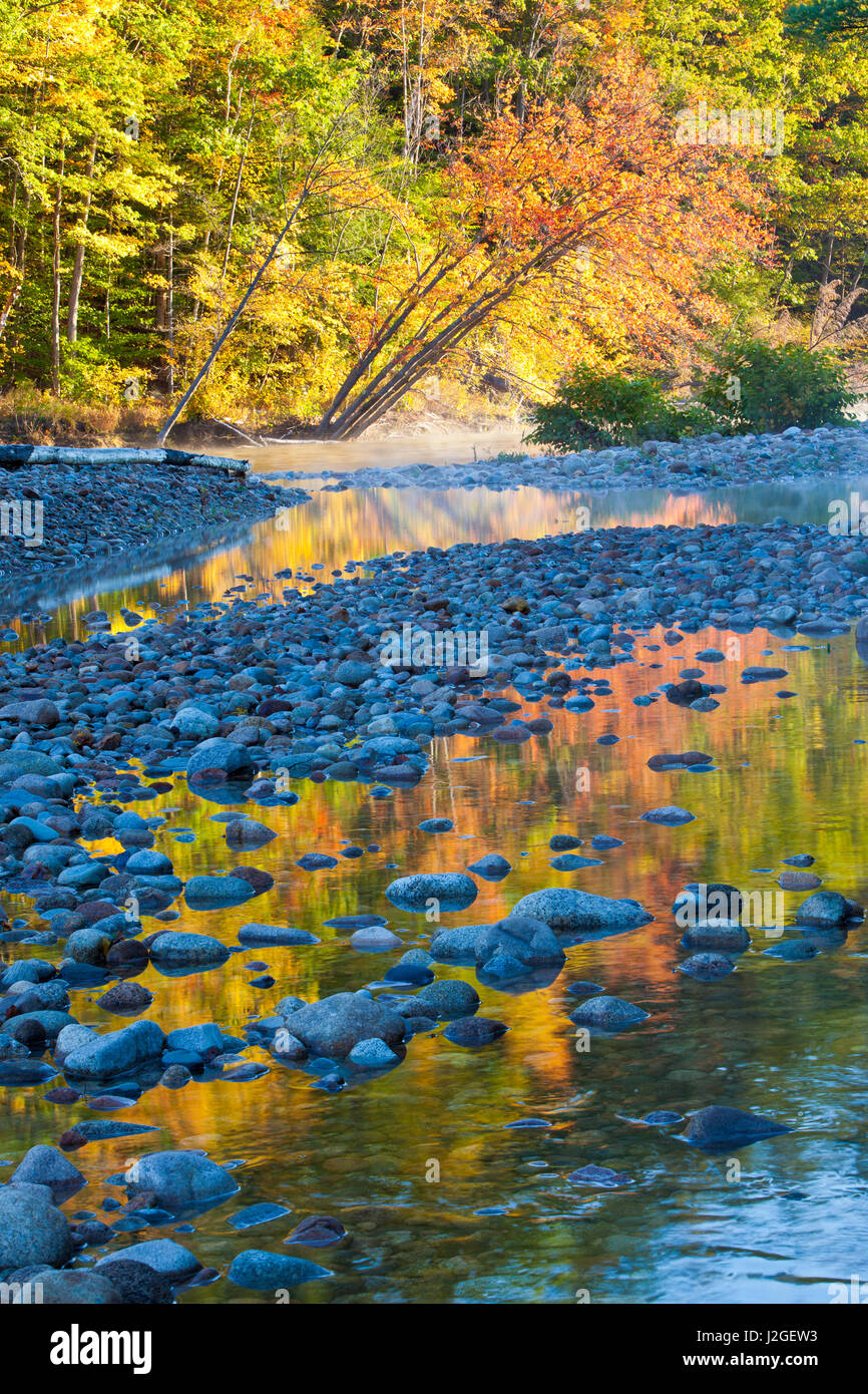 Herbstfarben spiegeln in Saco River in Bartlett, New Hampshire. White Mountains. Stockfoto