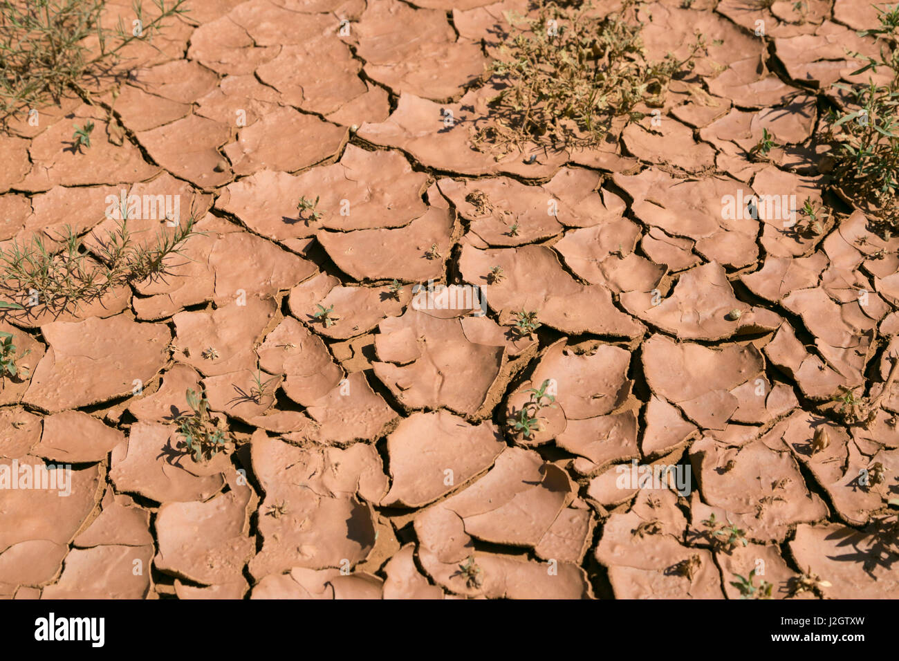 Trockene rissige Schlamm in Dürre ausgedörrte Land, Cuervo, New Mexico, USA. Stockfoto