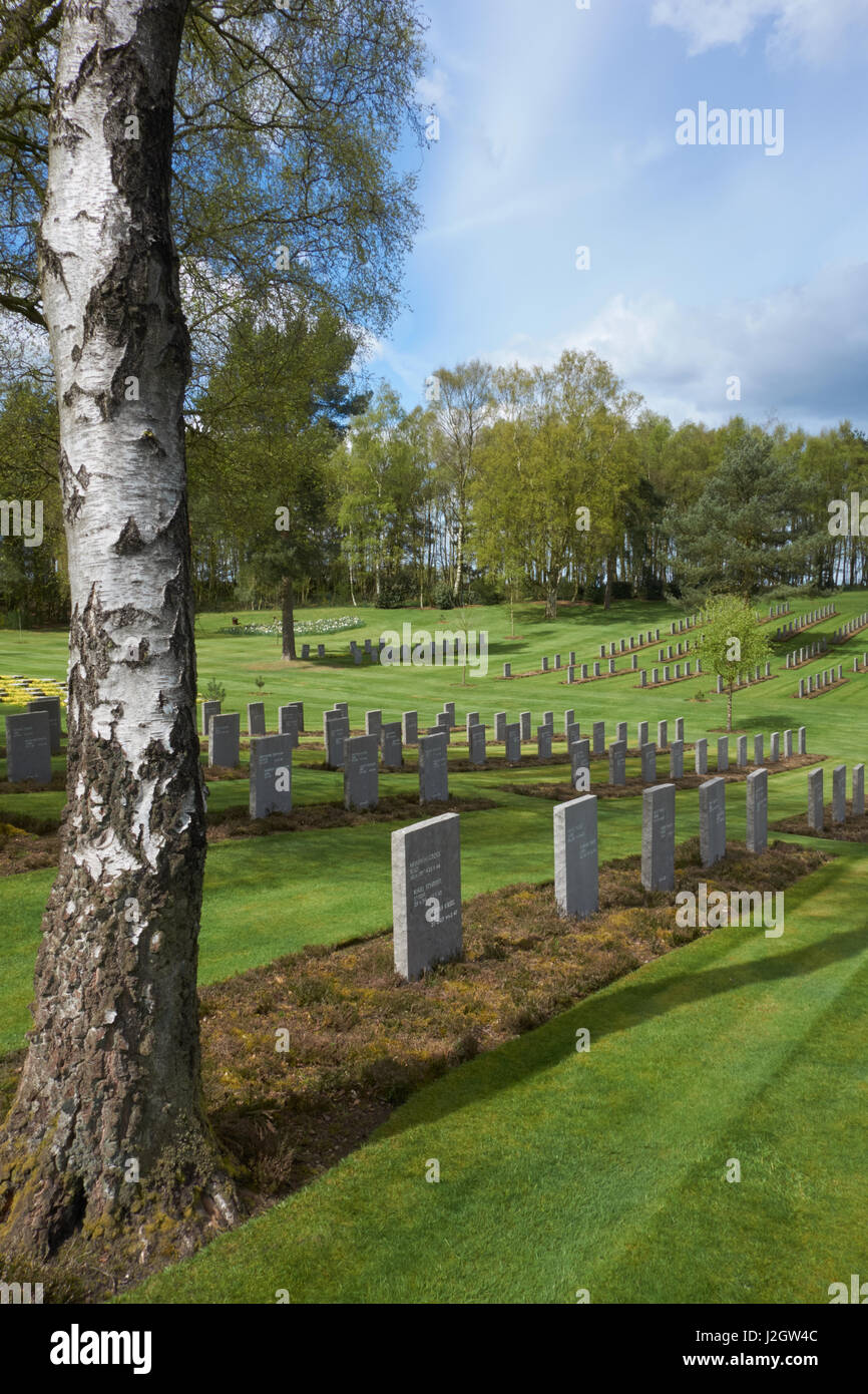Grabsteine auf dem deutschen Soldatenfriedhof in Cannock Chase. Staffordshire Stockfoto