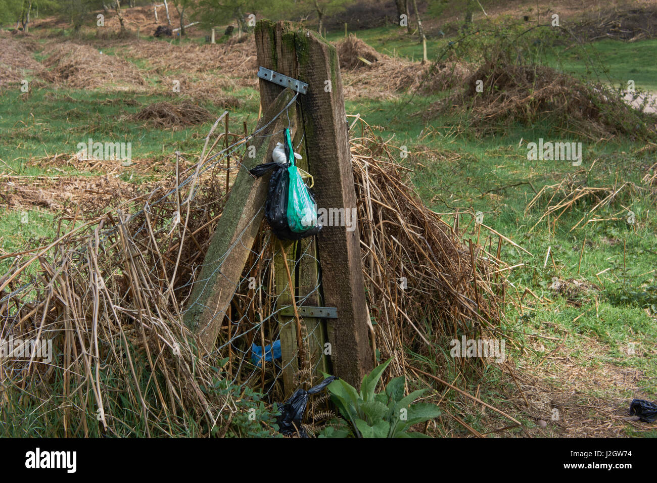 Müllbeutel Hund links seitlich der Fußweg auf Cannock Chase. Staffordshire. UK Stockfoto