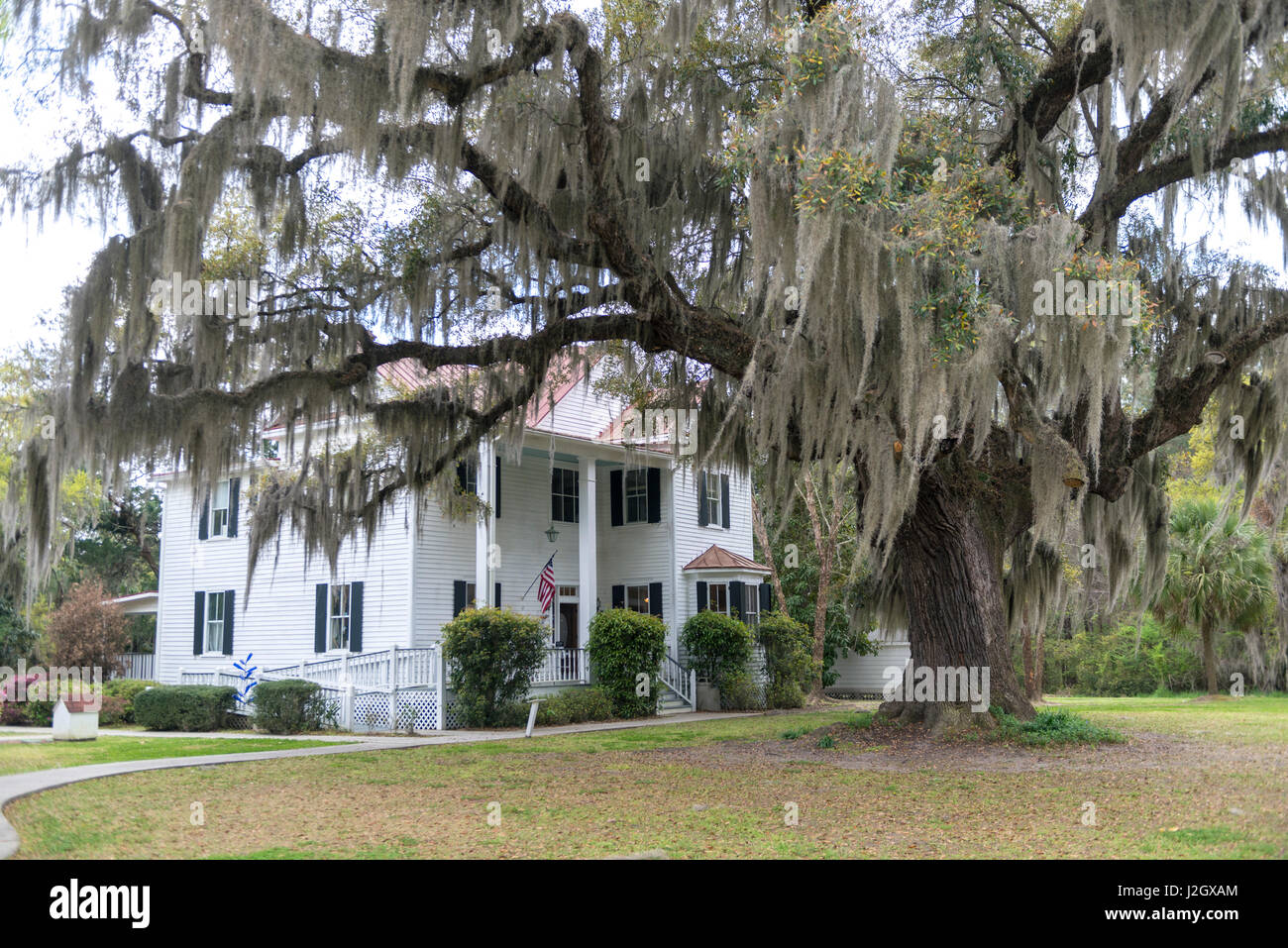 USA, South Carolina, Frampton Plantage (großformatige Größen erhältlich) Stockfoto