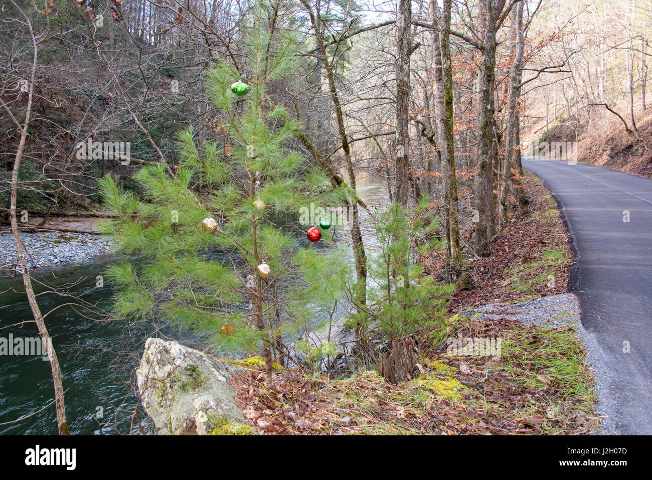 USA, Tennessee. Launig eingerichtet Urlaub am Straßenrand Kiefer entlang. Stockfoto