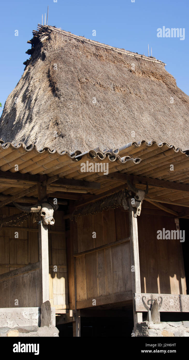 Cow skull Detail der Hütte in Bena ein traditionelles Dorf mit Gras Hütten der Ngada Menschen in der Nähe von Flores Bajawa, Indonesien. Stockfoto