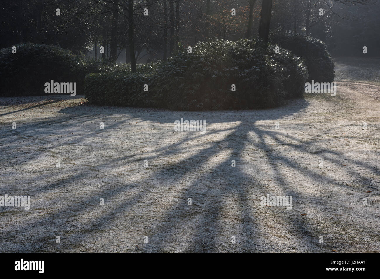 Frost auf gemähten Grases, Januar. Surrey, Großbritannien Stockfoto