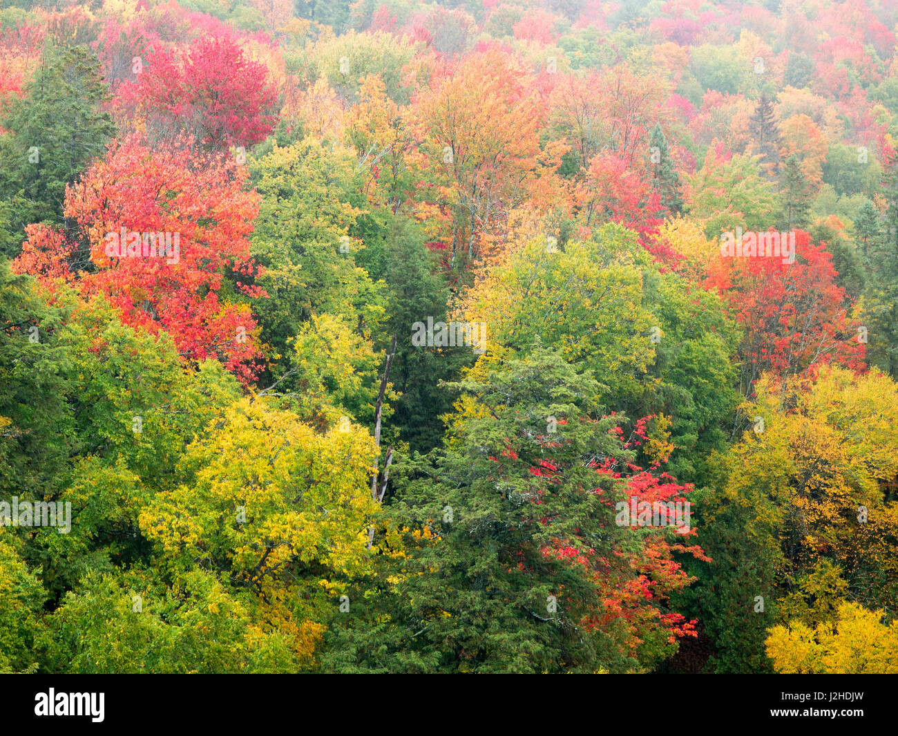 USA, Michigan, Upper Peninsula. Tal unterhalb der Cut-River-Brücke mit Lake Michigan auf der anderen Seite der Brücke. Stockfoto