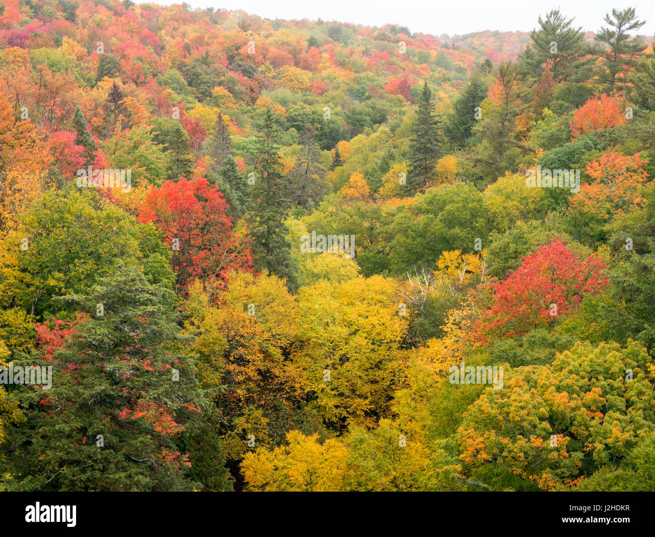 USA, Michigan, Upper Peninsula. Tal unterhalb der Cut-River-Brücke mit Lake Michigan auf der anderen Seite der Brücke. Stockfoto
