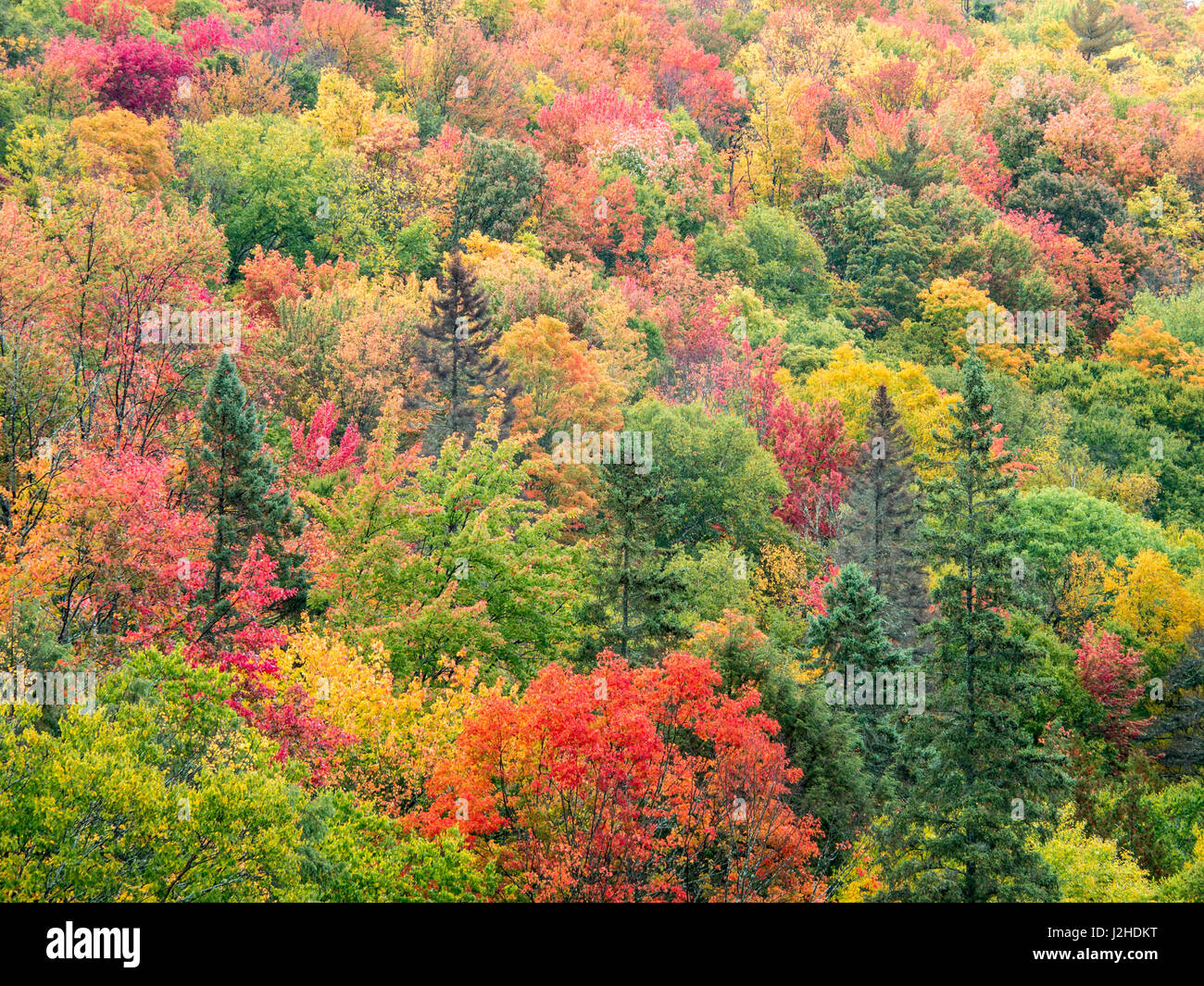 USA, Michigan, Upper Peninsula. Tal unterhalb der Cut-River-Brücke mit Lake Michigan auf der anderen Seite der Brücke. Stockfoto