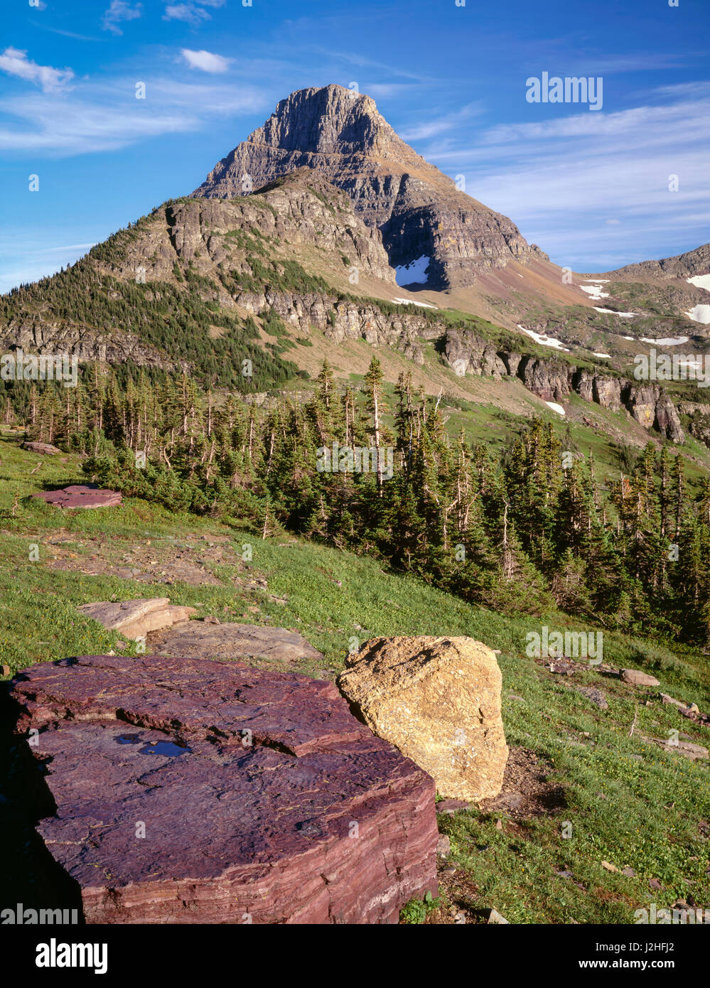 Reynolds Berg, Glacier National Park, Montana, USA thront über Geröll bestehend aus rötlichem Tonschiefer Rock und Wind verkümmert Koniferen an der Waldgrenze. (Großformatige Größen erhältlich) Stockfoto