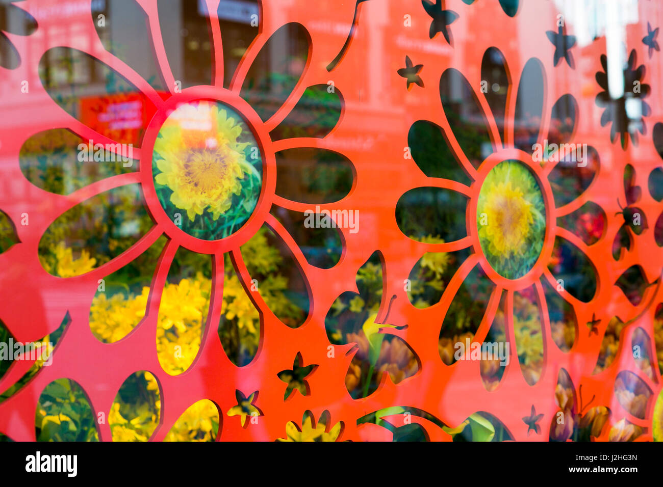 New York City, NY, USA. Flower-Power-Fenster für den Frühling. Stockfoto
