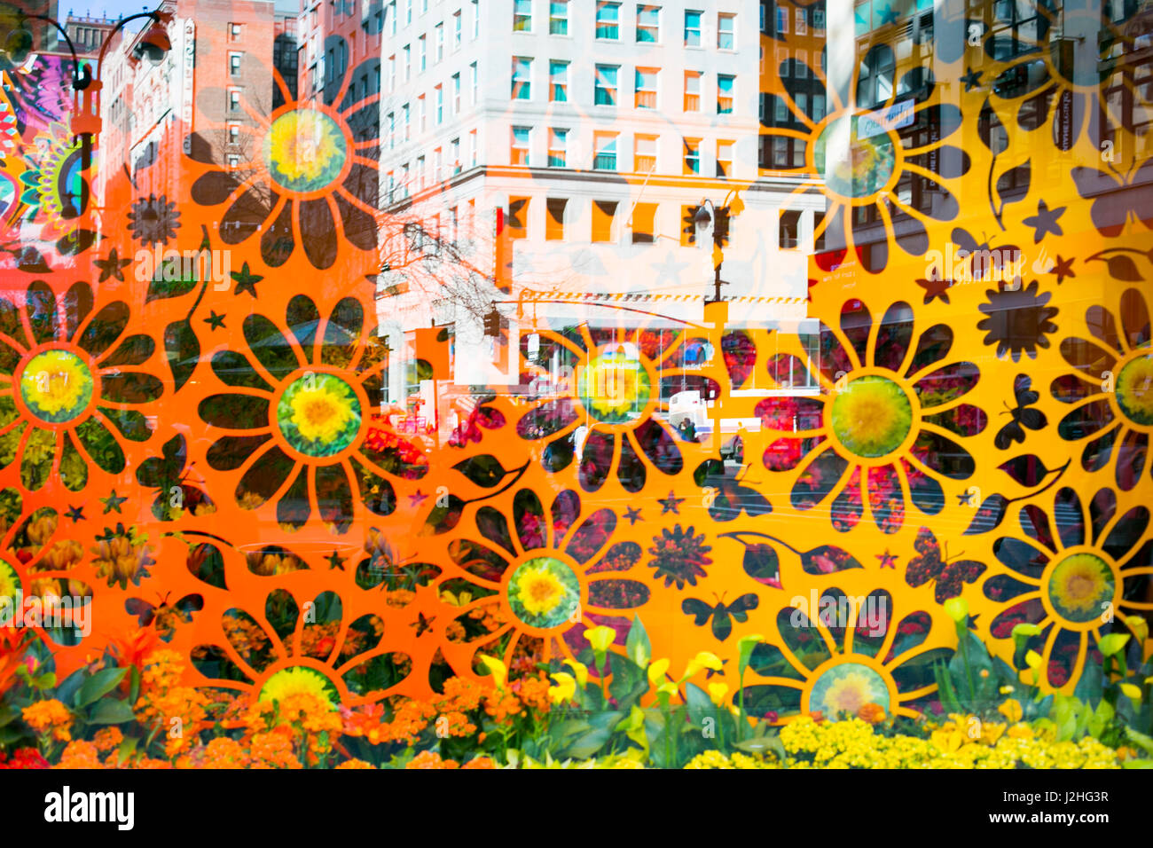 New York City, NY, USA. Flower-Power-Fenster für den Frühling. Stockfoto