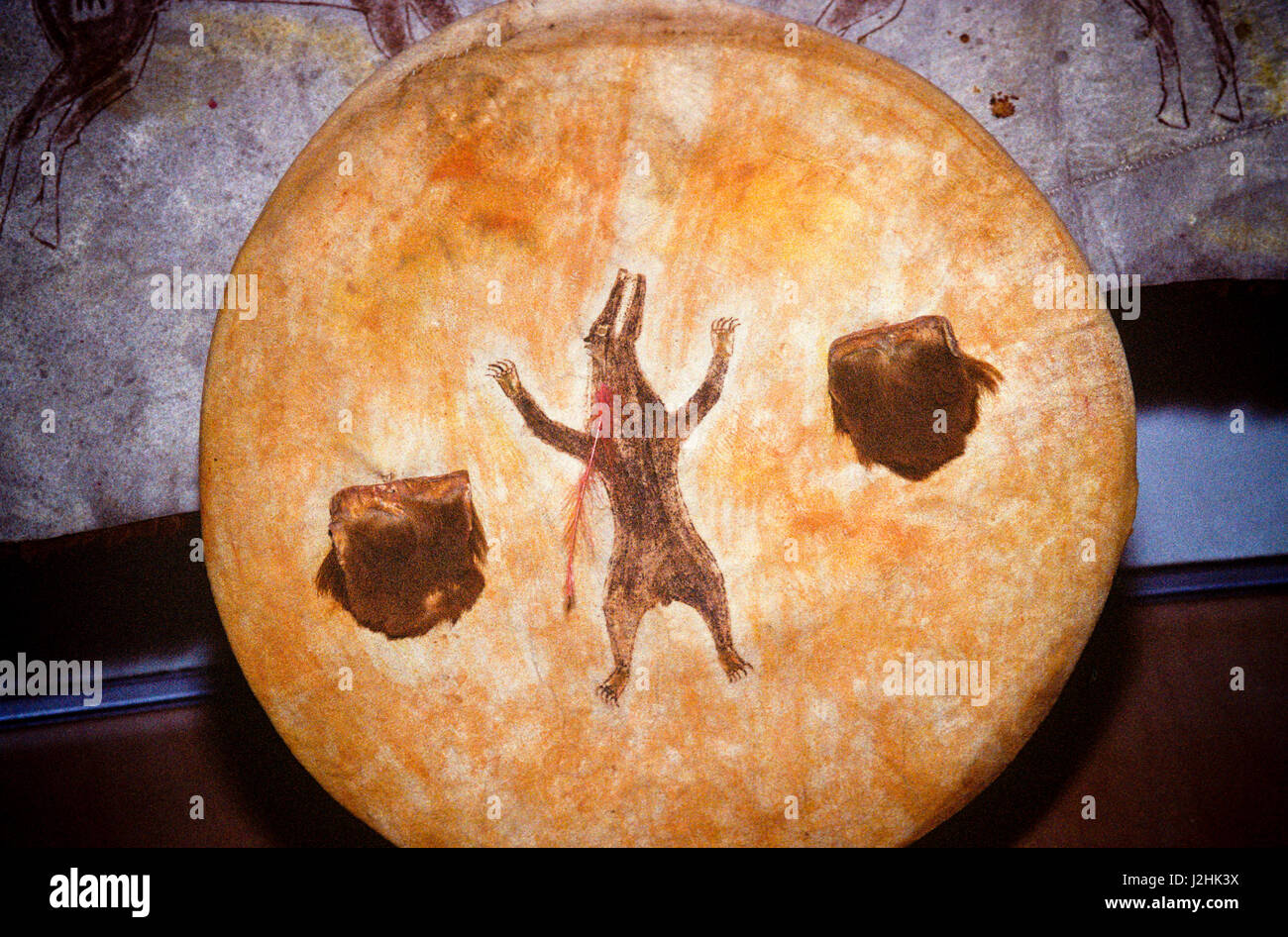 Ute Tanz Schild aus Rohhaut mit einem Bären-Motiv bemalt und geschmückt mit Flecken von Bär ausblenden verwendet während der Ute Indianer tragen Tanz gemacht Stockfoto
