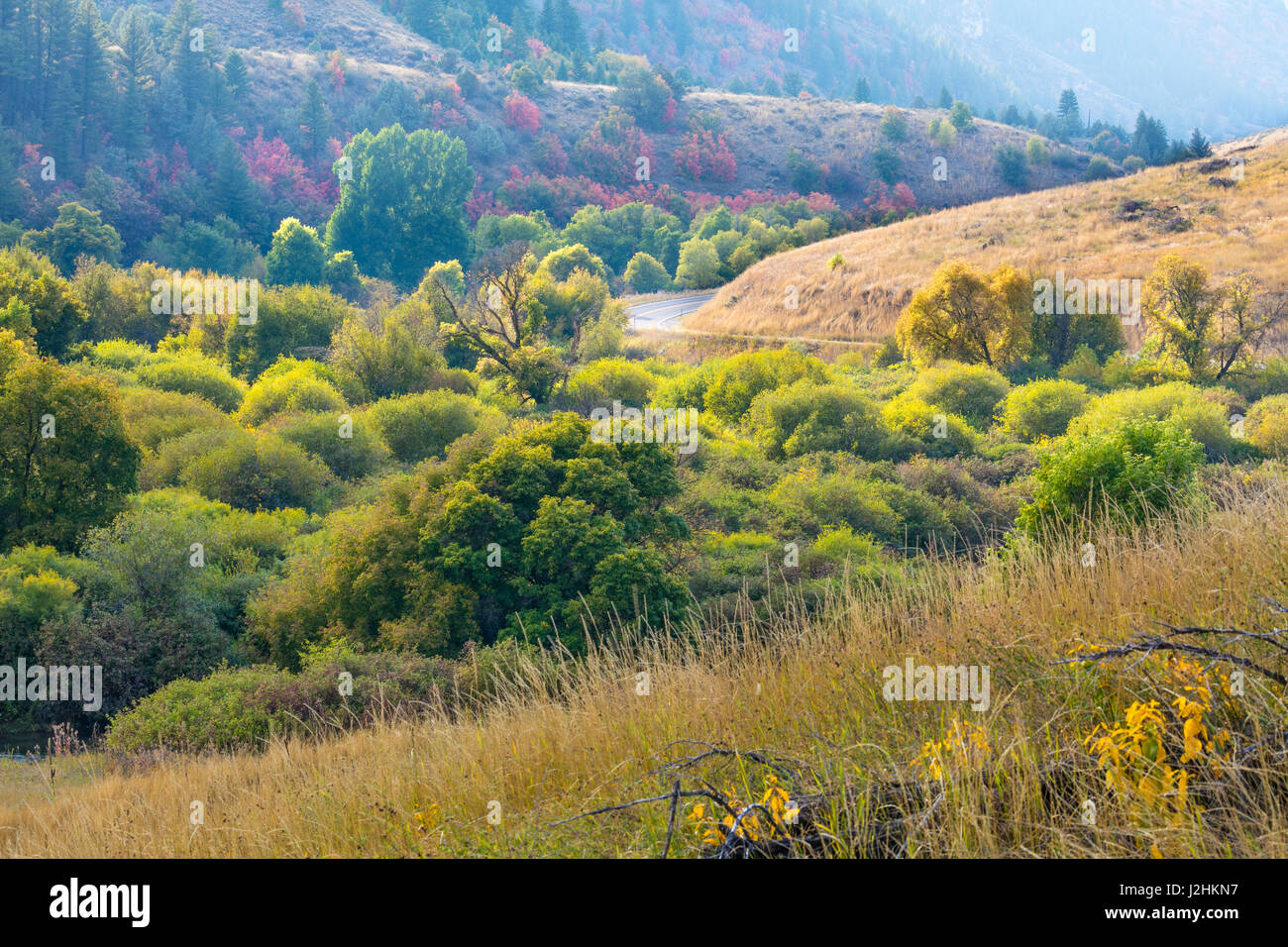 USA, Utah, Wasatch Mountains. Hardware-Ranch-Straße im Wald. Kredit als: Don Paulson / Jaynes Galerie / DanitaDelimont.com (großformatige Größen erhältlich) Stockfoto