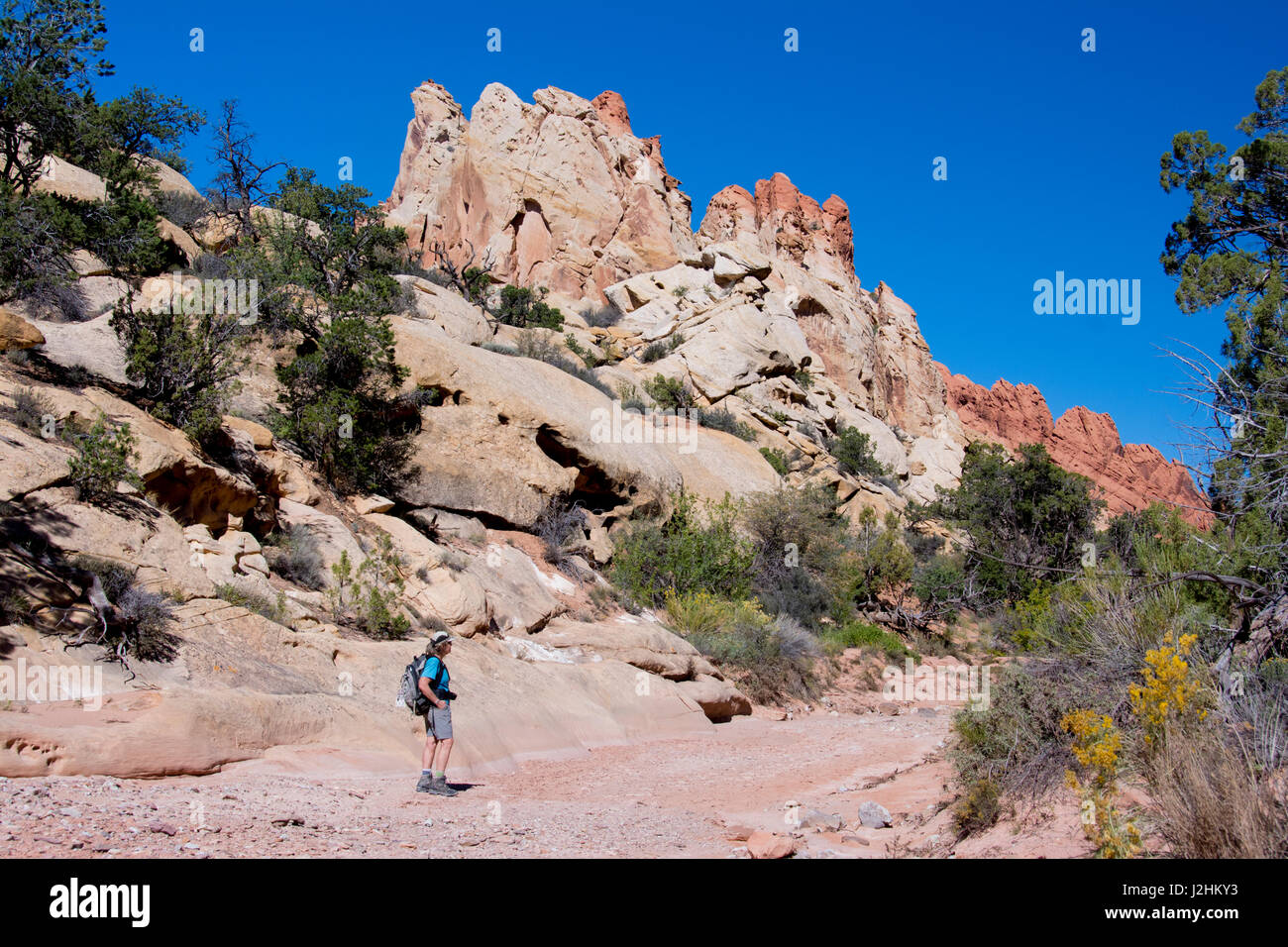 Wanderer schaut Sandsteinformation im Capitol Reef National Park, Utah (MR) Stockfoto