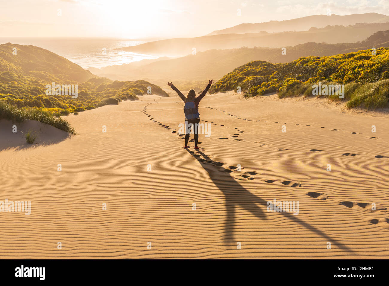 Frau, die Arme in die Luft, Sanddünen mit gelbe Lupine (Lupinus Luteus), Sandfly Bay, Dunedin, Otago Region Stockfoto