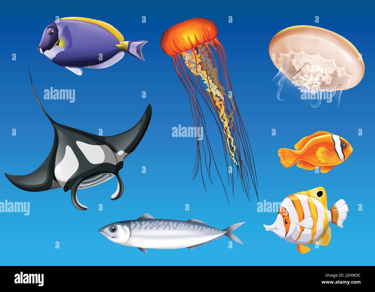Verschiedene Arten Von Meer Tiere Unterwasser Abbildung Stock Vektorgrafik Alamy