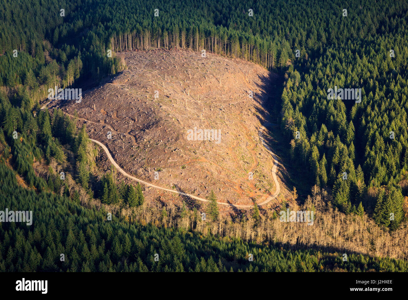 USA, Oregon, aerial Landschaft eine klare. Stockfoto