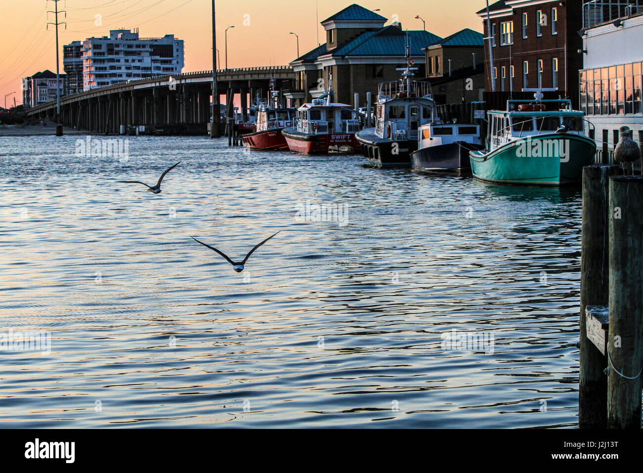 Hampton, Virginia. Möwen fliegen über Virginia Tidewater und übergeben Sie Angelboote/Fischerboote Stockfoto