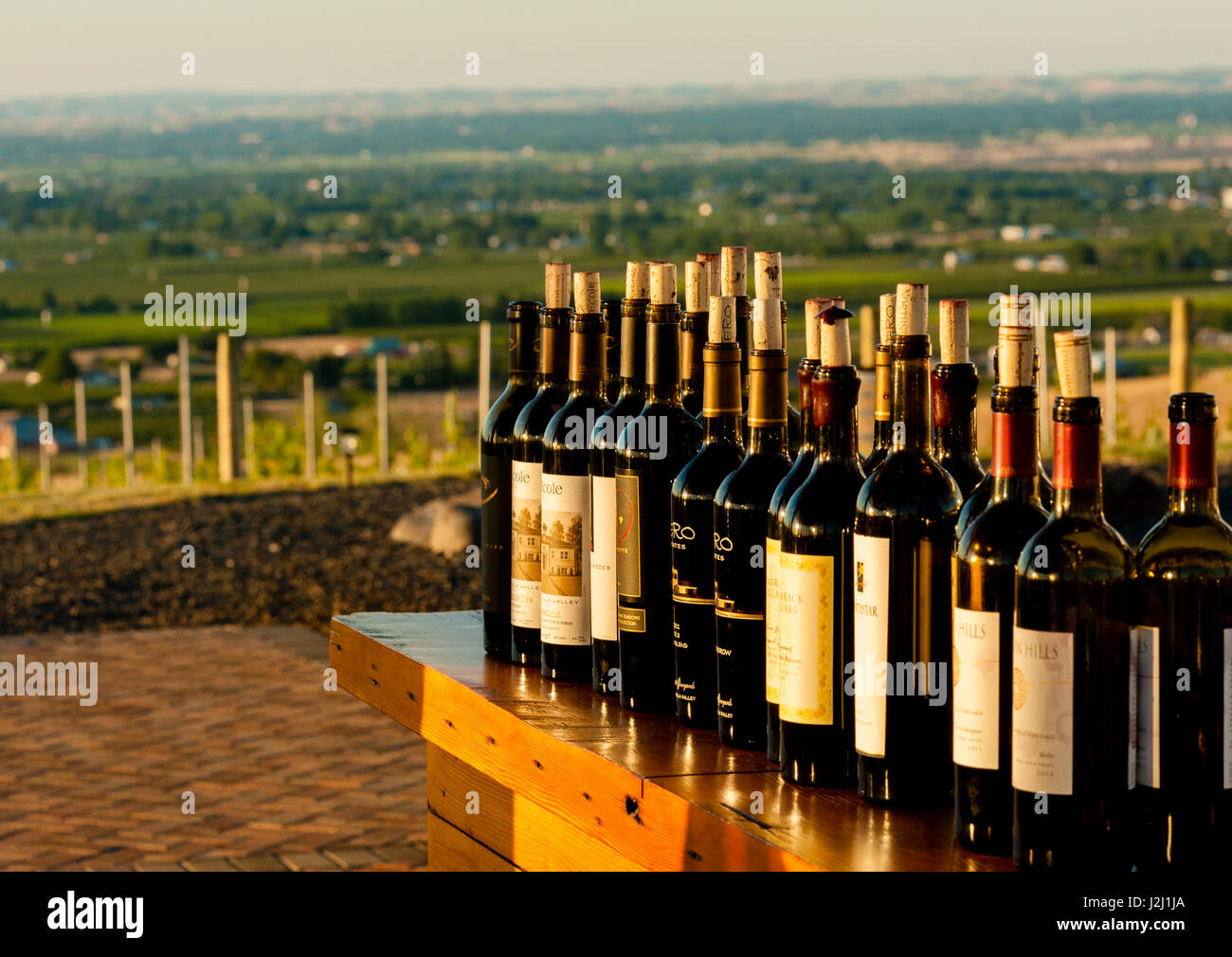 USA, Washington State, Walla Walla. Syrah Wein Flaschen für Winzer Abendessen bereit auf das Glashaus in Southwind Weinberg. Stockfoto